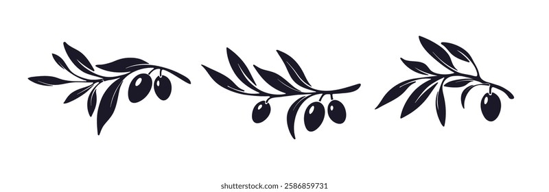 Olive branch set. Vector art imprint. Greek oil fruit, farm harvest. Black horizontal symbol. Vector mediterranean tree isolate on transparent background. Packaging illustration for food design