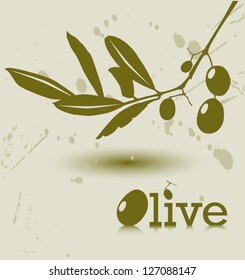 Olive branch with shadow
