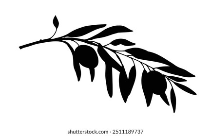 Silhueta de ramo de oliveira isolada no fundo branco. Ilustração de gráfico vetorial desenhado à mão. Pode ser usado para design de cartões, logotipos e etiquetas
