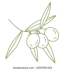 Olive branch. Simple icon in doodle style for your design. Vector illustration.