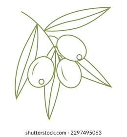 Olive branch. Simple icon in doodle style for your design. Vector illustration.
