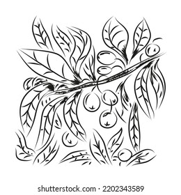 Olive branch sketch engraving vector illustration. Scratch board style imitation. Hand drawn image.