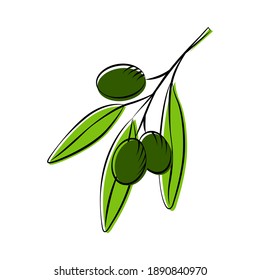 Olive branch with three green olives.  Vector illustration