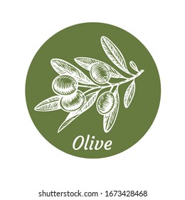 Olivenzweig einzeln auf Blättern. Olivenöl-Grüne Zweig-Pflanzengrafik.
