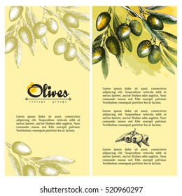 Olive branch vector colorful isolated leaflet layout with watercolor spots, text, lettering, olives and leaves on sketch hand drawn style.