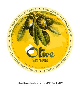 Olive branch vector colourful isolated label layout with watercolour spots, text, lettering, olives and leaves on sketch hand drawn style.