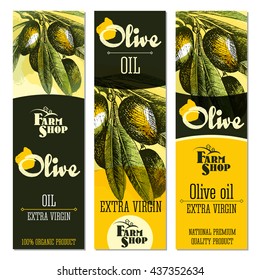 Olive branch vector colourful isolated label layout with watercolour spots, text, lettering, olives and leaves on sketch hand drawn style.