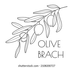 Olive branch vector in doodle, sketch style. Black, minimal single line botanic branch and leaf. Ink, pencil hand drawn olive tree, leaves for wrapper pattern, logo, frame or border. 