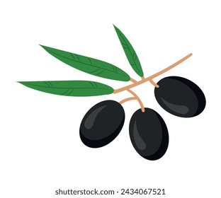 An olive branch. Vector illustration of black olives on a branch. On a transparent background