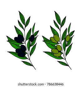 The olive branch vector illustration. Doodle style. Design, print, decor, textile, paper