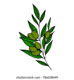 The olive branch vector illustration. Doodle style. Design, print, decor, textile, paper