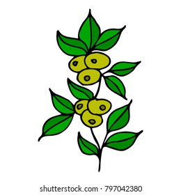 The olive branch vector illustration. Doodle style. Design, print, logo, decor, textile, paper.