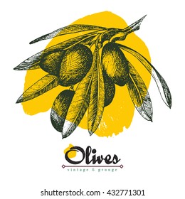 Olive branch vector isolated  black sketch illustration with yellow spot and title in hand drawn style, olives, leaves.