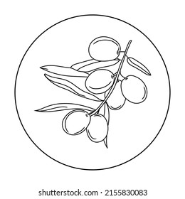 Olive branch vector line art icon isolated on white background. Minimalist black linear sketch.