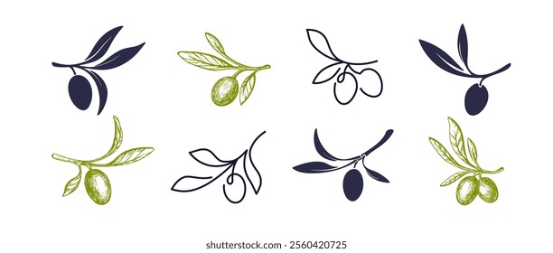 Olive branch. Vector sketch, continuous line set for design menu, oil black and white symbol. Details greek illustration isolated on transparent background. Editable stroke. Mediterranean nature plant