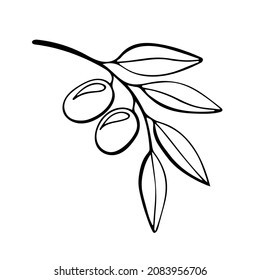 Olive branch. Vector sketch. Vector illustration isolated on white.