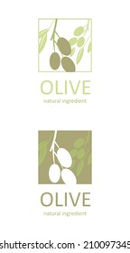 Olive branch. Vector visual icons.