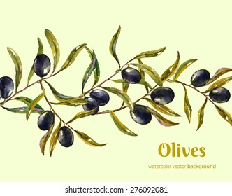 olive branch. watercolor vector background