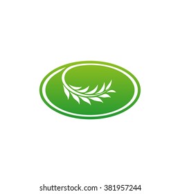 Olive branch. Wheat vector logo. Green color isolated emblem.