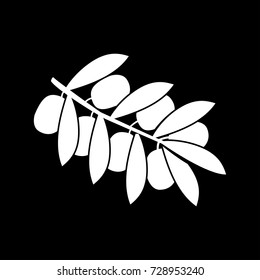 Olive branch white icon .