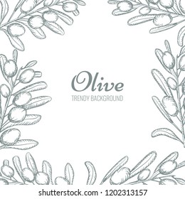 Olive branch wreath border with empty space for your text. Hand drawn olive tree sketch. Vector Illustration.