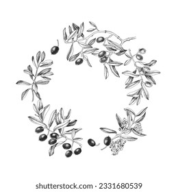 Olive branch wreath. Hand drawn vector frame