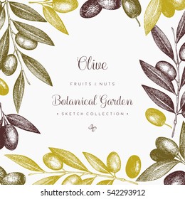 Olive branch wreath. Vintage card design with hand drawn olive tree sketch. Vector template. Botanical illustration.