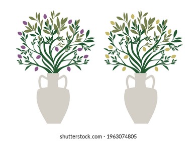 Olive branches in an amphora isolated on white background