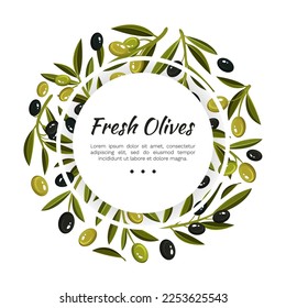 Olive Branches Banner Design with Green and Black Fruit Vector Template