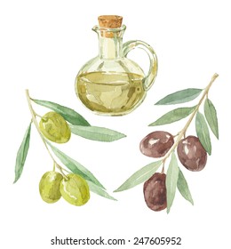 Olive branches and a bottle of olive oil drawing by watercolor. Hand drawn isolated vector illustration on a white background.