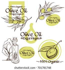 Olive branches and bottles with oil contour drawings for decoration of products, advertising posters, booklets in the eco-style.