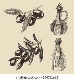 Olive branches and olive bottles set, hand drawn vector illustration, engraving