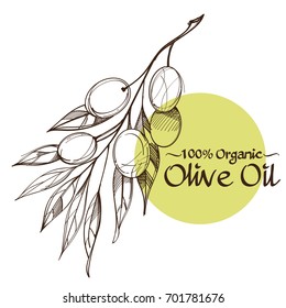 Olive branches contour drawings for decoration of products, advertising posters, booklets in the eco-style.