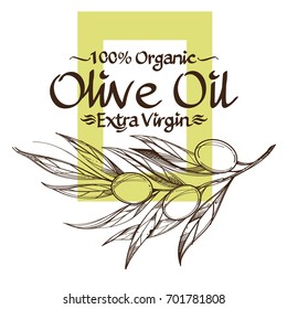 Olive branches contour drawings for decoration of products, advertising posters, booklets in the eco-style.