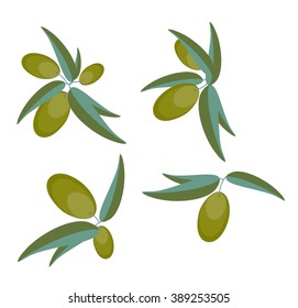 Olive branches with foliage. Vector illustration
