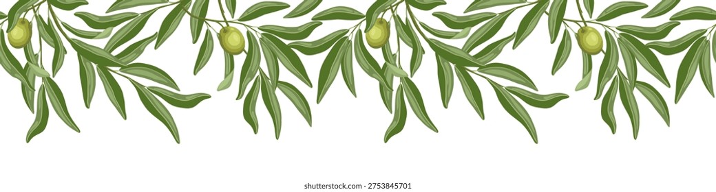 Olive branches with fruit seamless border. Upper vector hand drawn divider illustration for cafe and restaurant template. Italian food cartoon repeat drawing perfect for product packaging graphic.