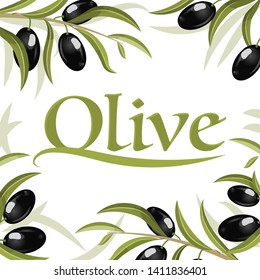 olive branches with fruits and foliage. Olives. Blank frame under the text
