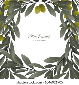 Olive branches and green olives frame on white background. Blank space for text