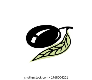 Olive branches. Hand drawn illustration. Vector outline.