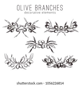 Olive branches, hand-drawn engraving vector illustration. Set of five decorative elements