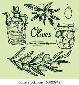Olive branches,  jar of homemade pickled olives, bottle with virgin olive oil, leaf and fruits set, woodcut style design, hand drawn doodle, sketch in pop art style, isolated vector illustration