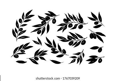 Olive branches with long leaves vector collection. Set of black silhouettes leaves and tree branches. Hand drawn foliage, herbs, tree twig. Vector ink elements isolated on white background. 