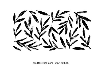 Olive branches with long leaves vector collection. Hand drawn foliage, herbs, tree twig. Set of black silhouettes leaves and tree branches. Vector ink elements isolated on white background. 