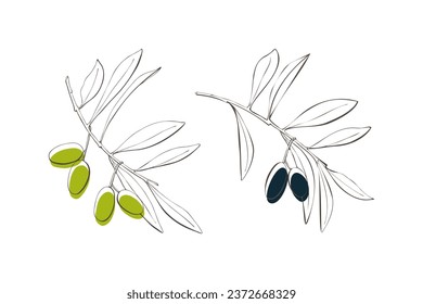 Olive branches in modern linear style, isolated on white background.