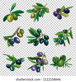 Olive Branches with Olives can be used in different spheres such as marketing, organic products companies, healthy food restaurants, as a logo of virgin oil or part of design or illustration.