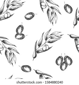 Olive branches with olives, sketch element. Monochrome freehand drawing. Suitable for background decoration, packaging, cosmetic products, decoupage. Seamless white background. Vector illustration