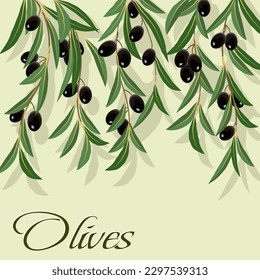 Olive branches on a colored background.Vector illustration with olive branches on a colored background with text.