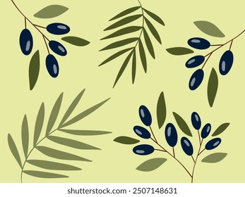 Ramas de olivo sobre fondo verde. Fondo de pantalla de verano. Comida saludable. Ilustración vectorial. Ramas de palma, hojas. Naturaleza