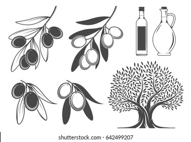 Olive branches, tree and oil