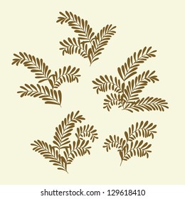 Olive branches. Vector design elements